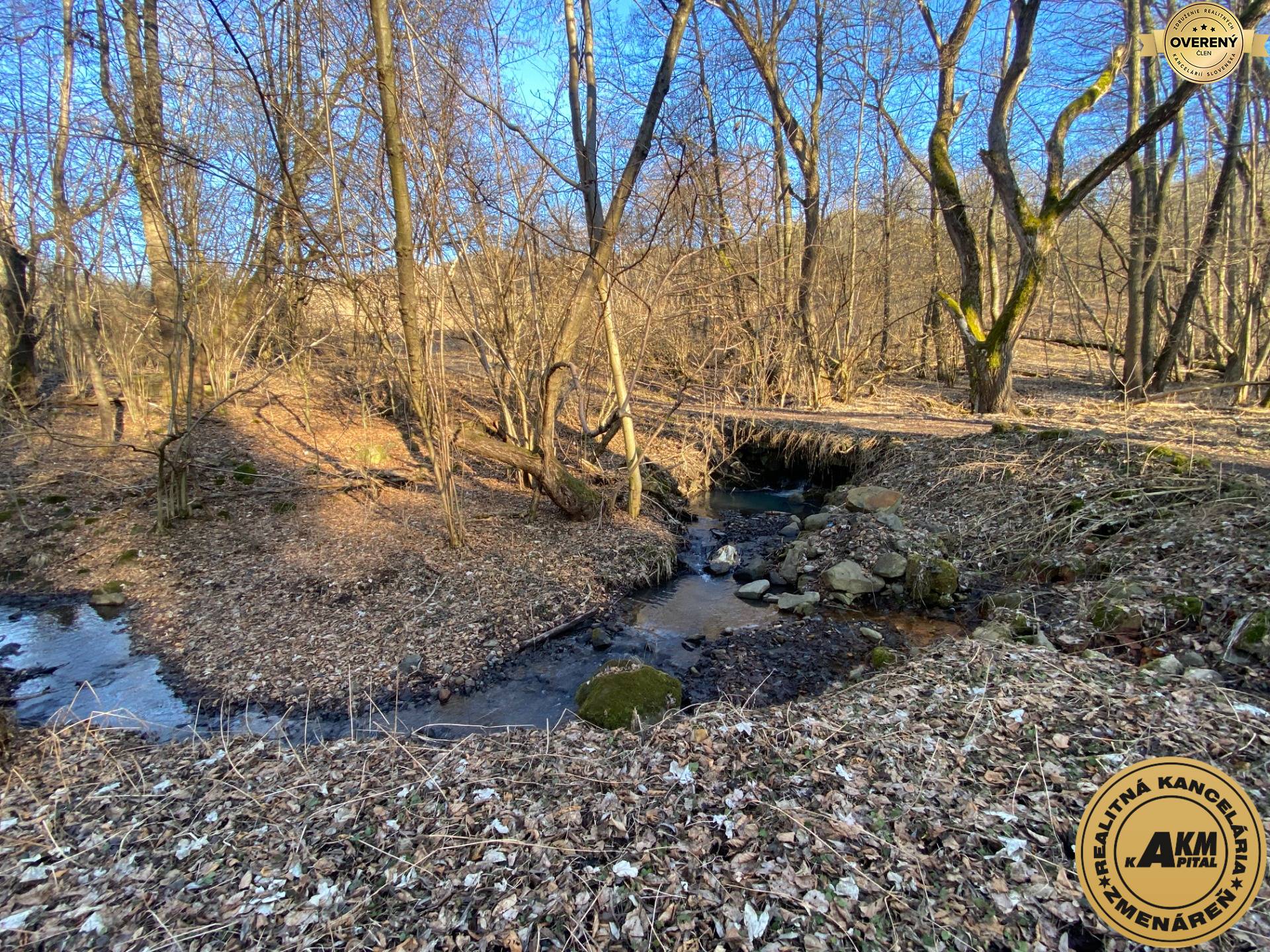 Sale Land – for living, Land – for living, Zvolen, Slovakia