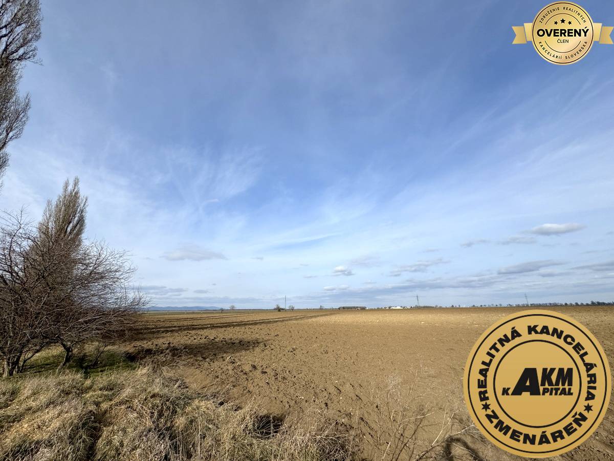 Sale Land plots - commercial, Land plots - commercial, Trnava, Slovaki