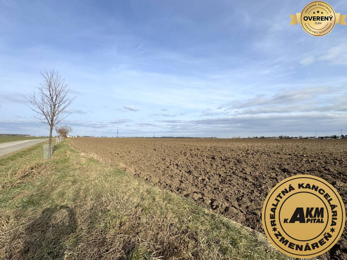 Sale Land plots - commercial, Land plots - commercial, Trnava, Slovaki