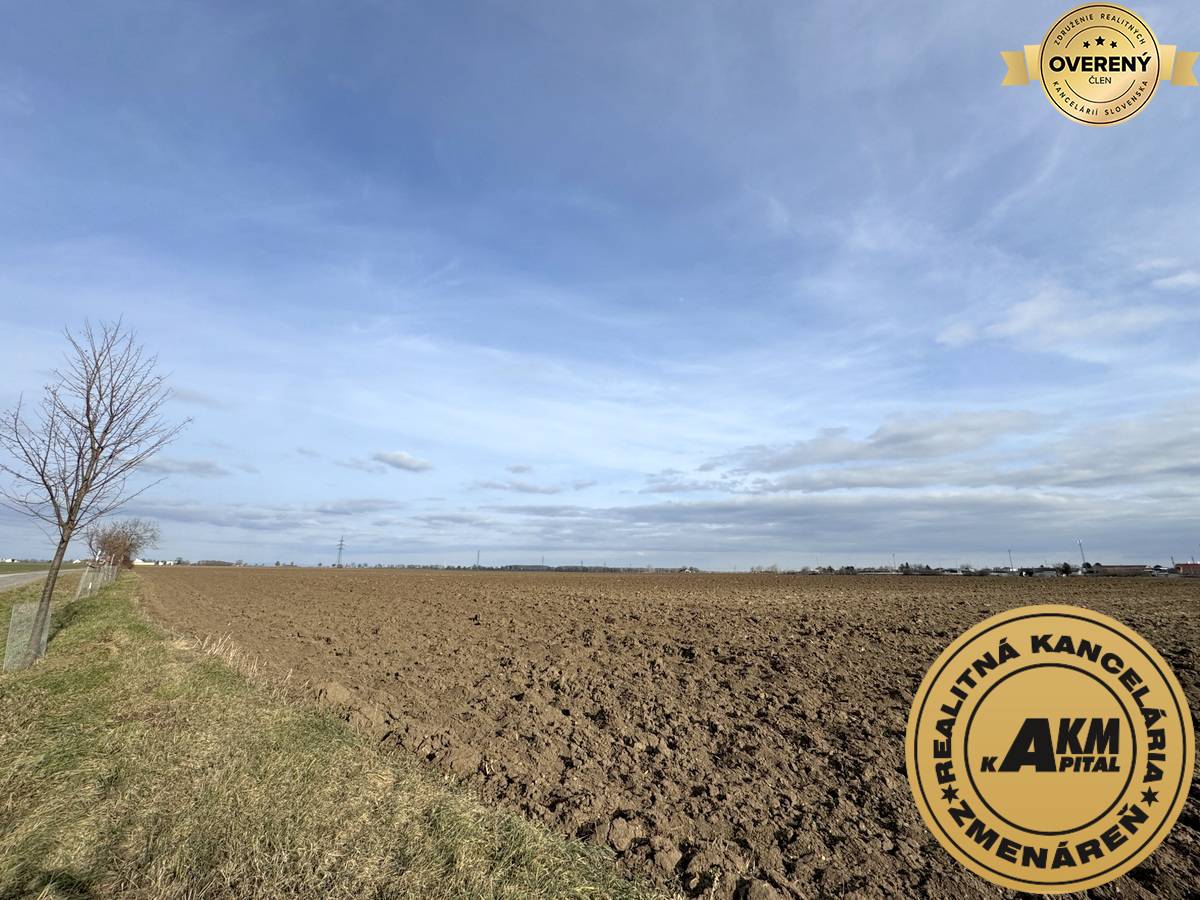 Sale Land plots - commercial, Land plots - commercial, Trnava, Slovaki