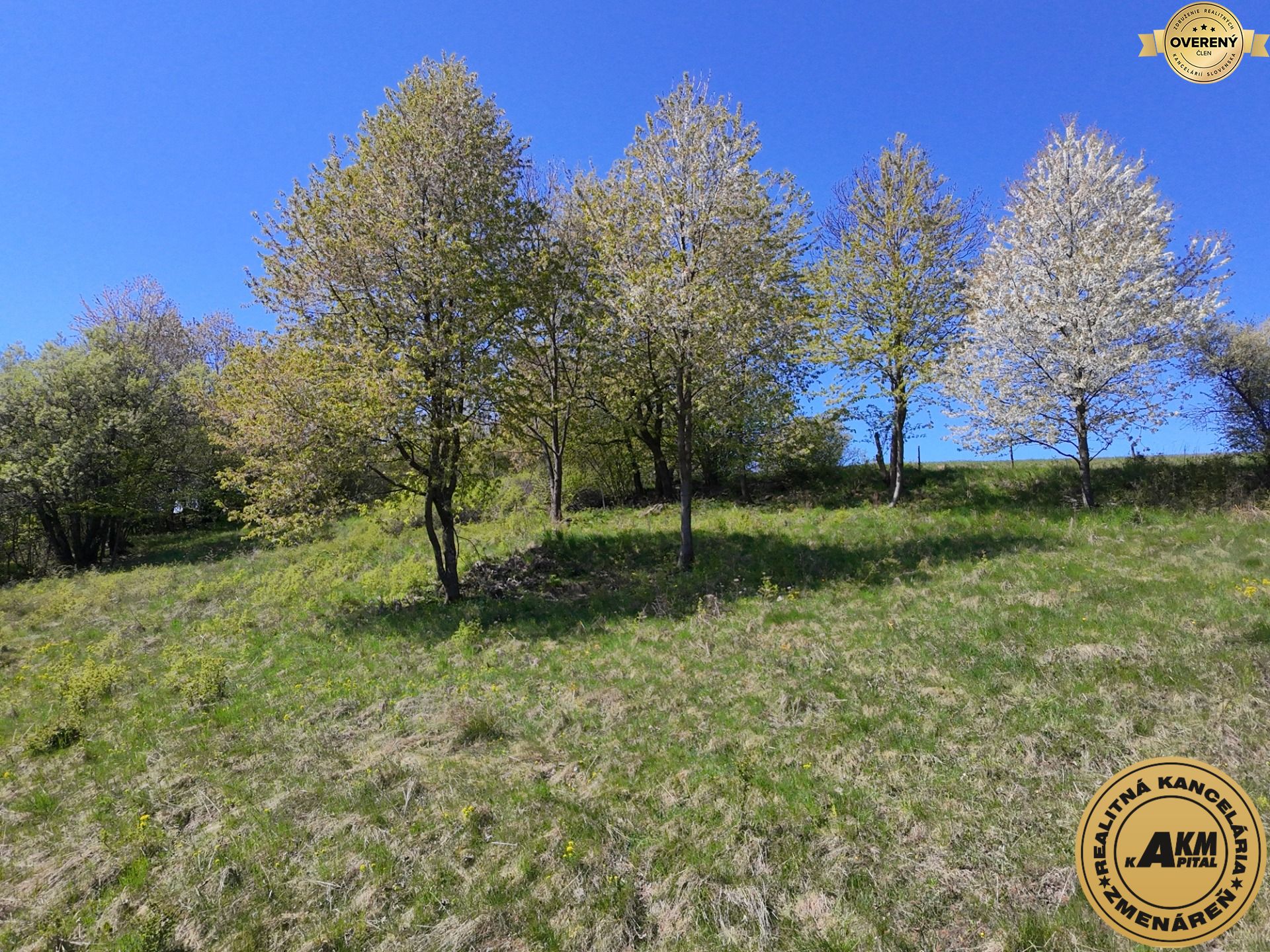 Sale Land – for living, Land – for living, Blato - (konečná 234), Detv