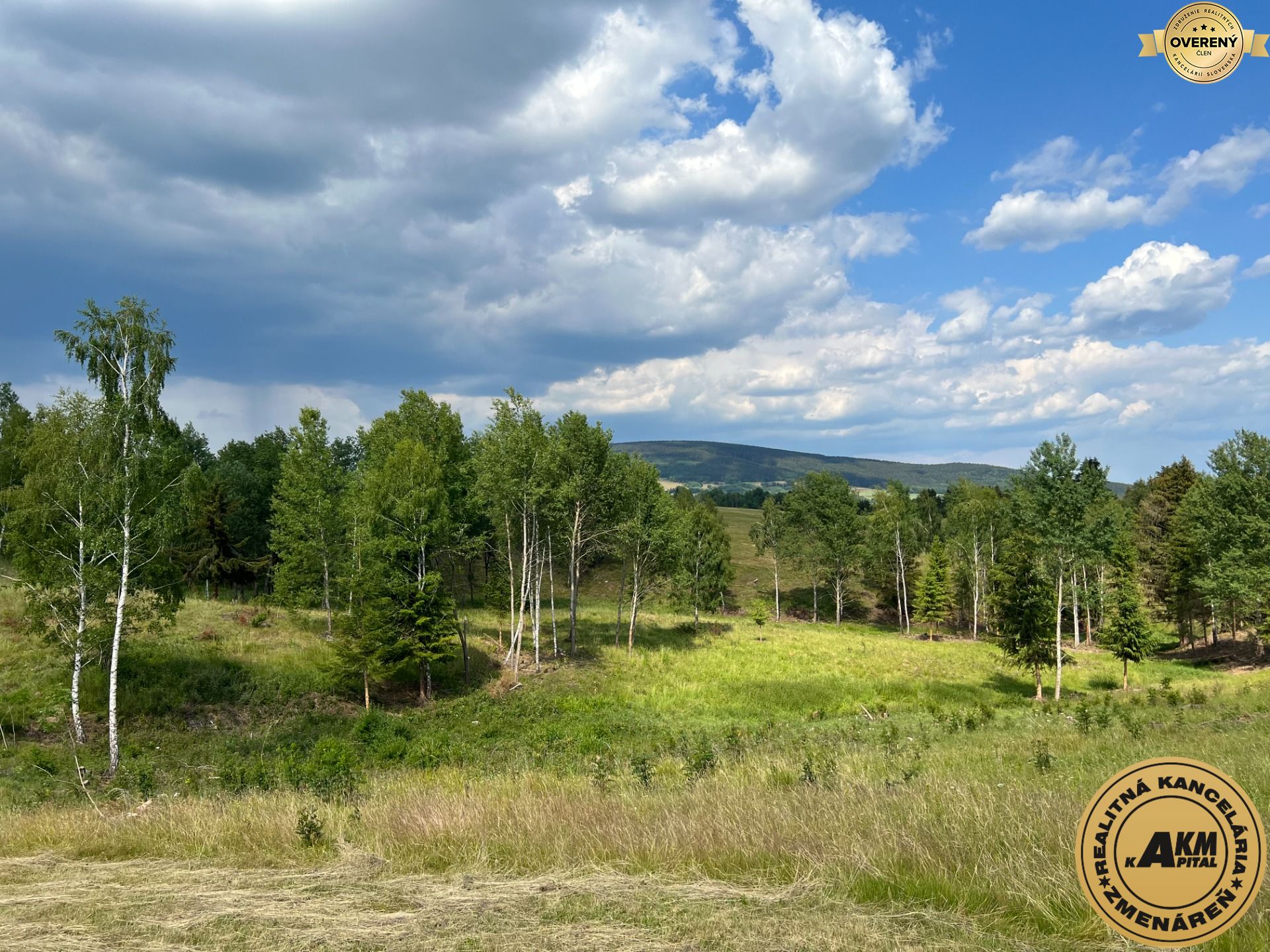 Sale Land – for living, Land – for living, Nový Svet, Detva, Slovakia
