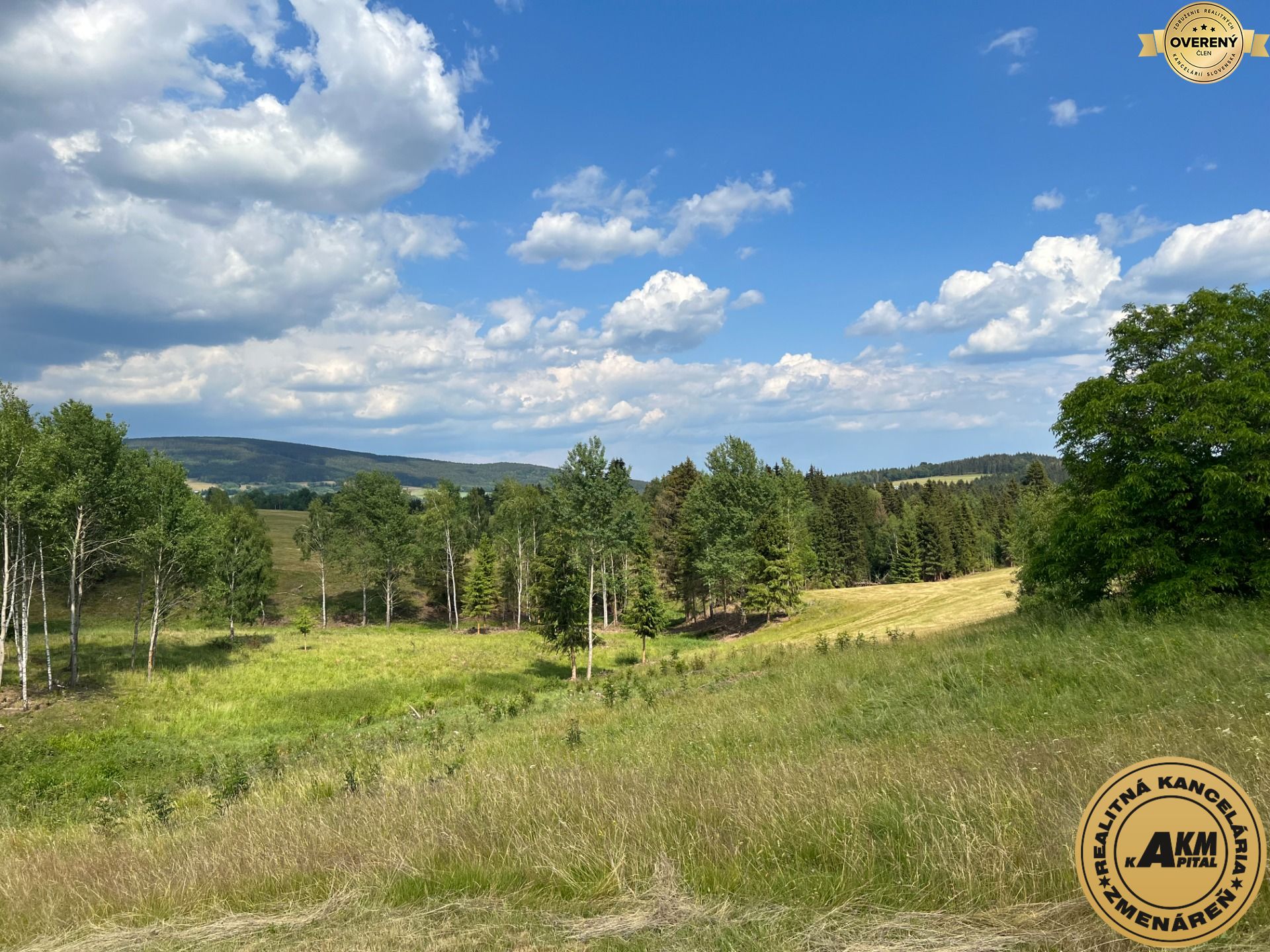Sale Land – for living, Land – for living, Nový Svet, Detva, Slovakia