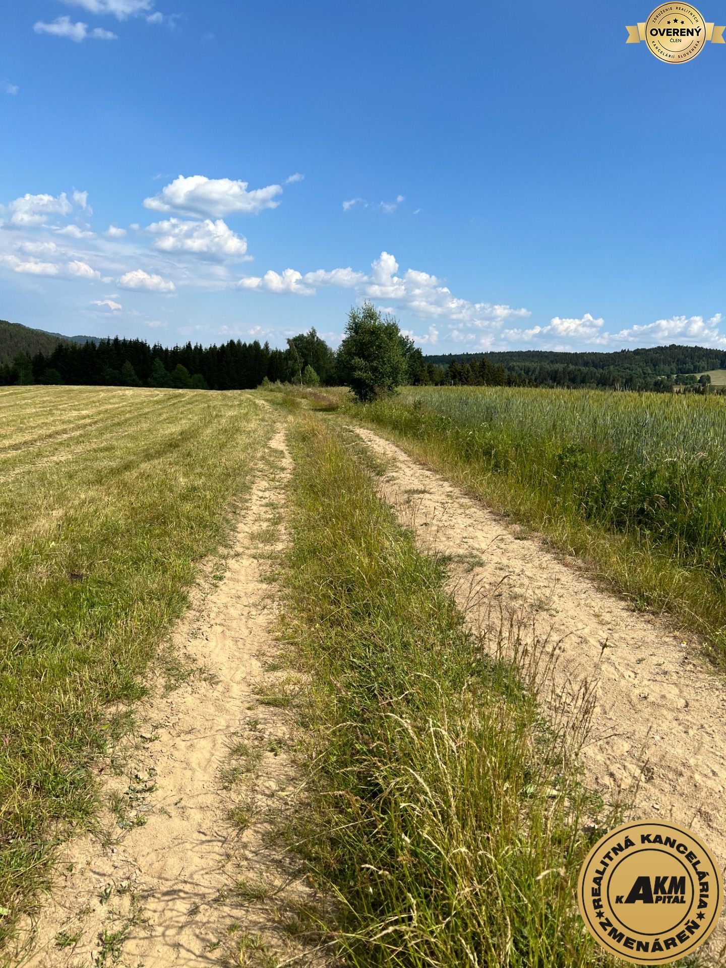 Sale Land – for living, Land – for living, Nový Svet, Detva, Slovakia