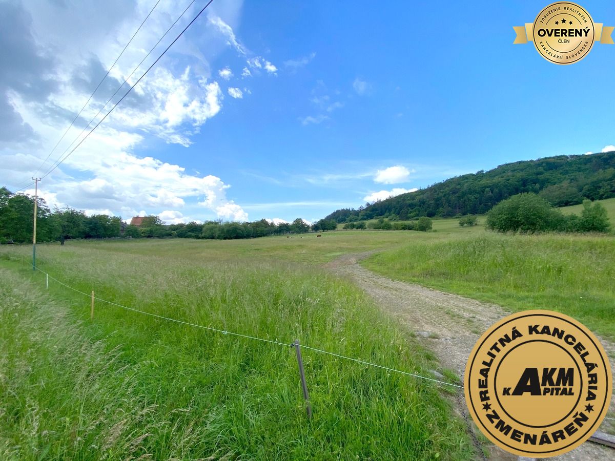 Sale Land – for living, Land – for living, Slatinské Lazy, Detva, Slov