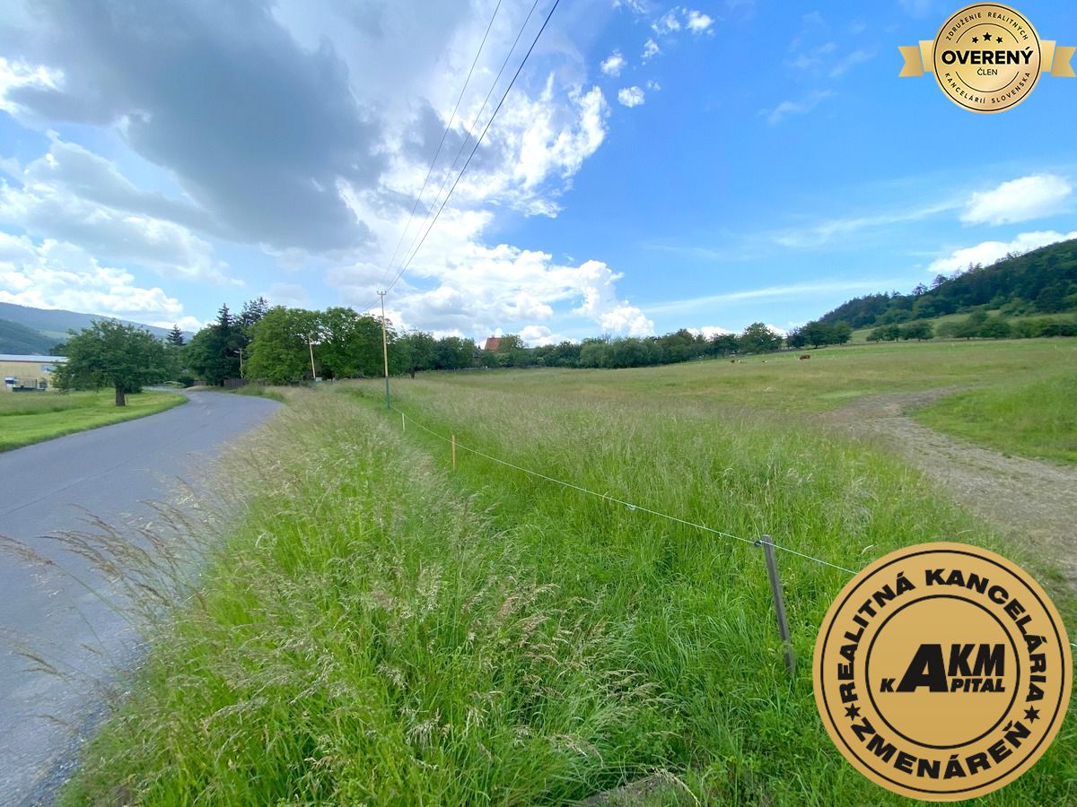 Sale Land – for living, Land – for living, Slatinské Lazy, Detva, Slov