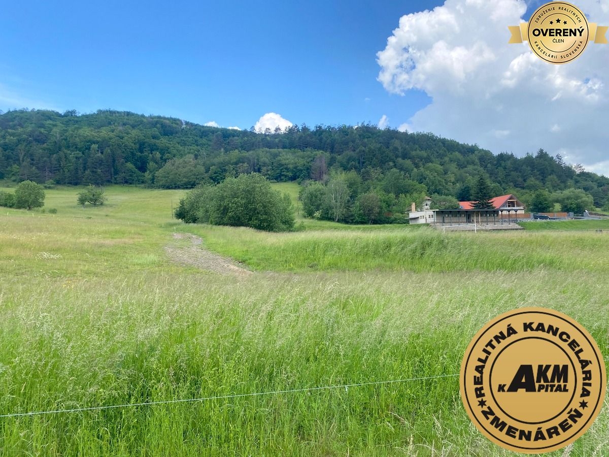 Sale Land – for living, Land – for living, Slatinské Lazy, Detva, Slov
