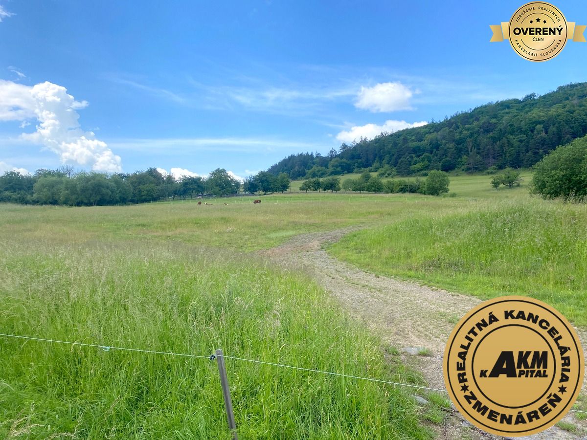 Sale Land – for living, Land – for living, Slatinské Lazy, Detva, Slov