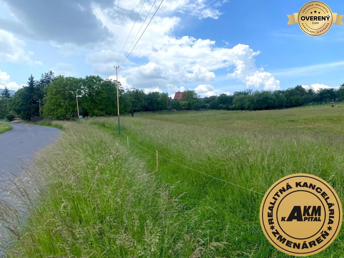 Sale Land – for living, Land – for living, Slatinské Lazy, Detva, Slov
