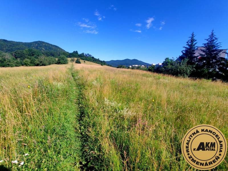 Land plots - commercial, Fraňa Kráľa, Sale, Žarnovica, Slovakia