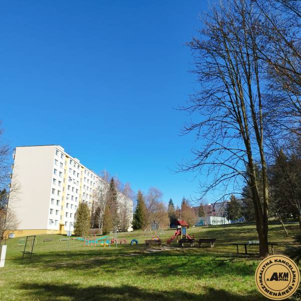 Sale One bedroom apartment, One bedroom apartment, A.Hlinku, Zvolen, S