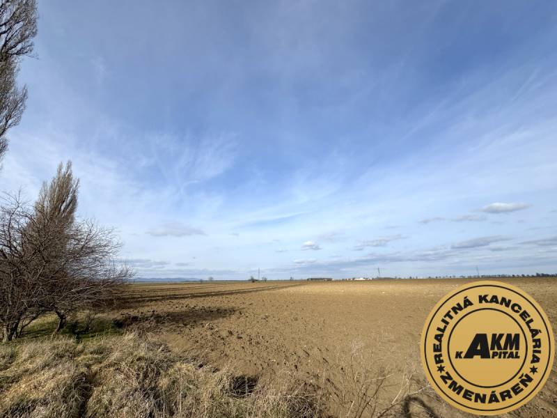 Sale Land plots - commercial, Land plots - commercial, Trnava, Slovaki