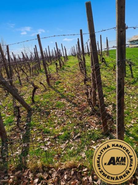 Sale Vineyards, Vineyards, Husín , Krupina, Slovakia